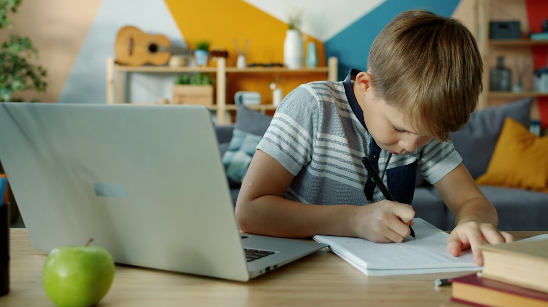 online learning setup